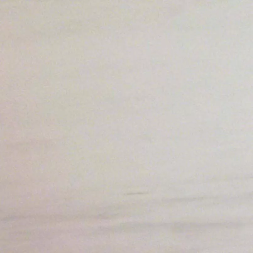 - 2 Bianco dolomite with white background and delicate gray veining