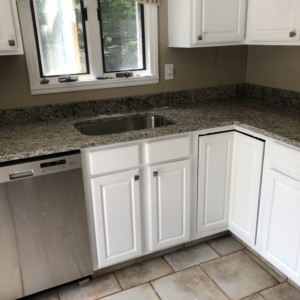 Santa Cecilia LIght Granite