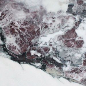 FIOR DI PESCO APUANO