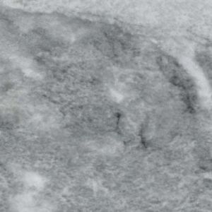 GRIS DE SAVOIE AZEROBACT