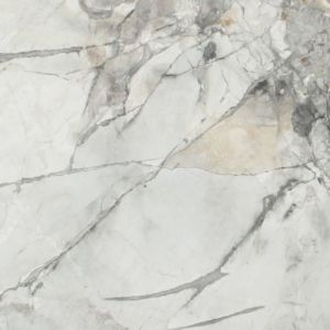 INVISIBLE GREYGOLD LEATHER