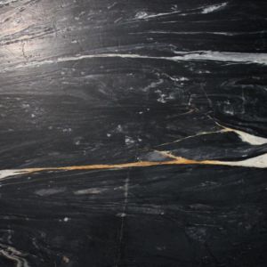 ZEBRINO BLACK   GOLD AZEROBACT